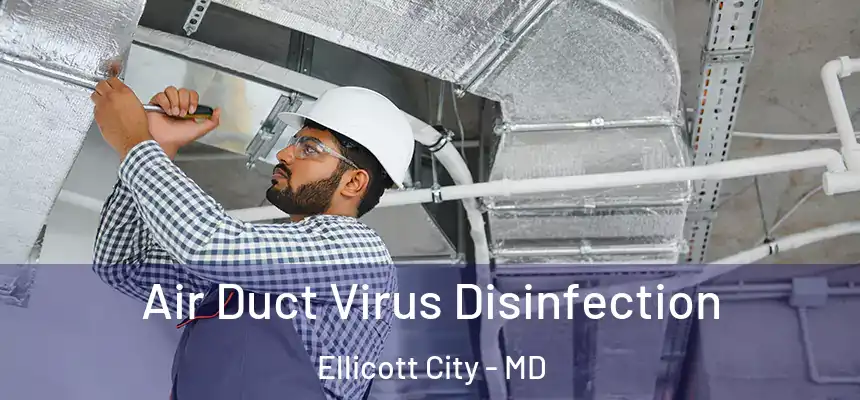  Air Duct Virus Disinfection Ellicott City - MD