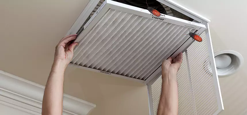 Preventive Cockroach-Proofing for Ducts in Ellicott City