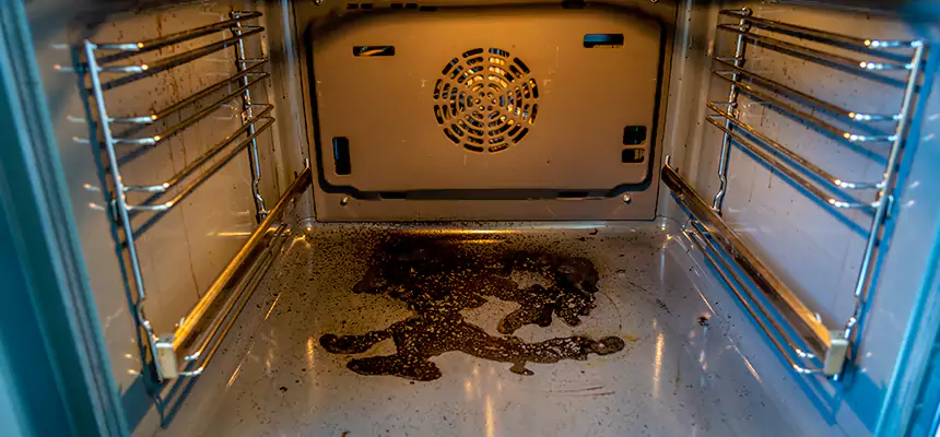 Our Dryer Vent Mold Cleaning Services in Ellicott City, MD