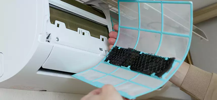 Gentle Ductwork Odor-Control Pet Dander Duct Cleaning in Ellicott City, MD