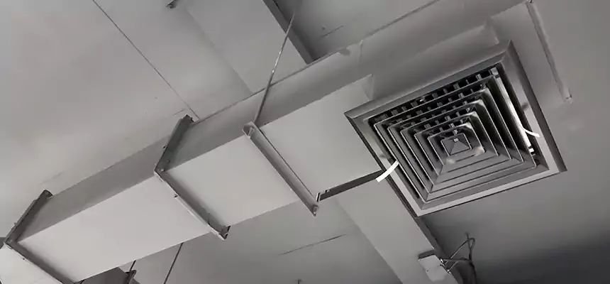 Our Rodent Droppings In Vents Services in Ellicott City, MD