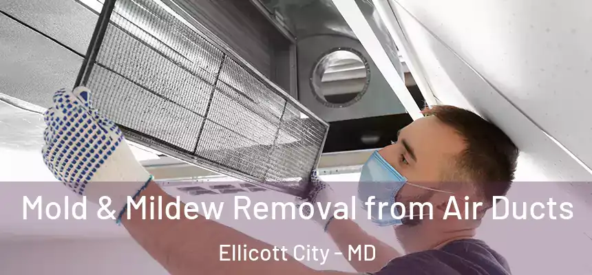 Mold & Mildew Removal from Air Ducts Ellicott City - MD