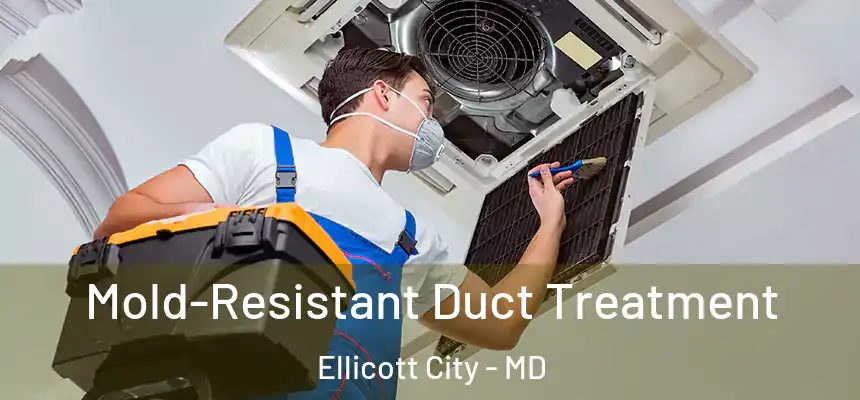  Mold-Resistant Duct Treatment Ellicott City - MD
