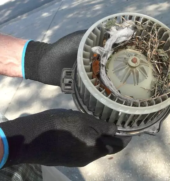 About Air Duct Rat Removal in Ellicott City, MD