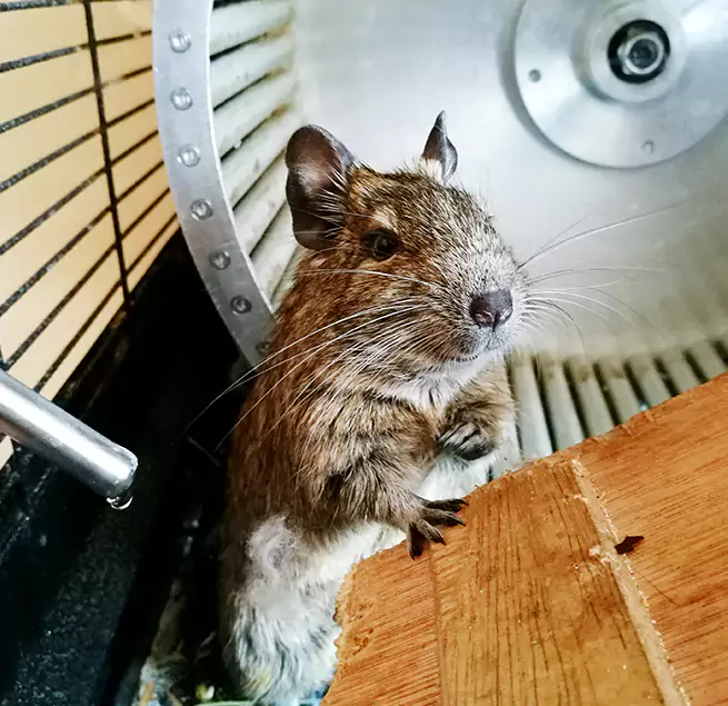 Why Homeowners & Businesses Trust Us Ellicott City, MD?