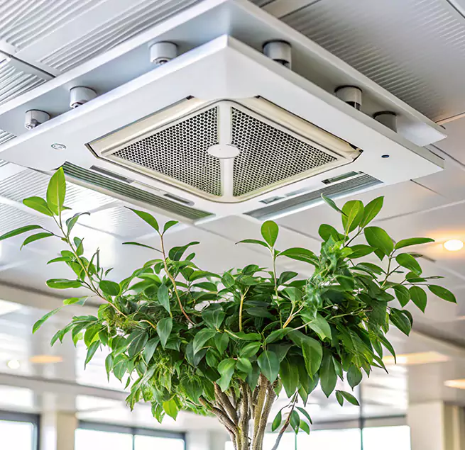 Why Homeowners & Businesses Trust Us in Ellicott City, MD?