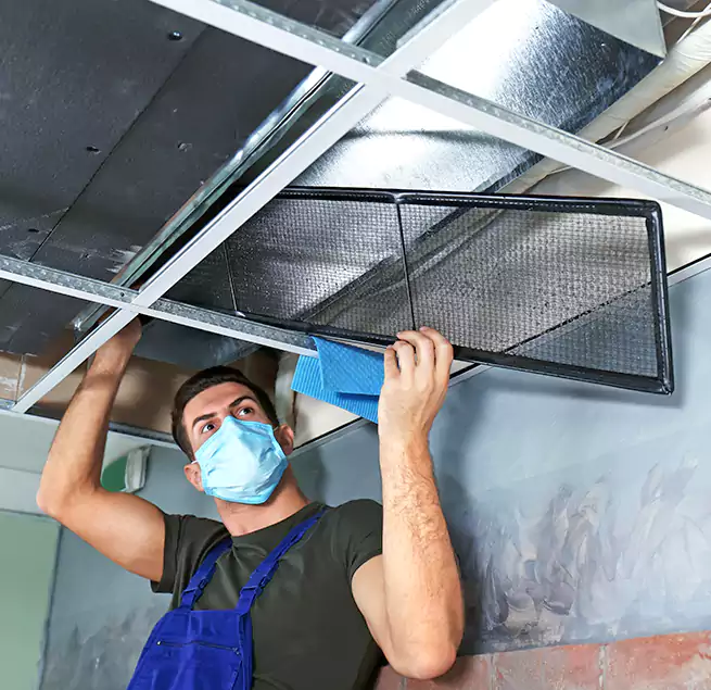 Why Homeowners Businesses Trust Us in Ellicott City, MD