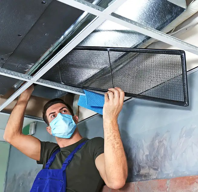 Why Homeowners & Businesses Trust Us in Ellicott City, MD?